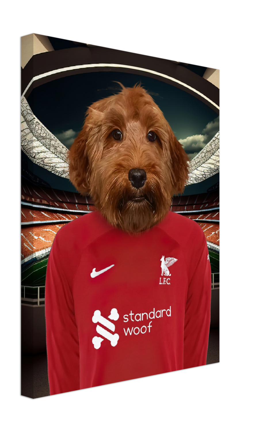 Custom Football Team Print of Your Pet - Any Team - Specially Designed