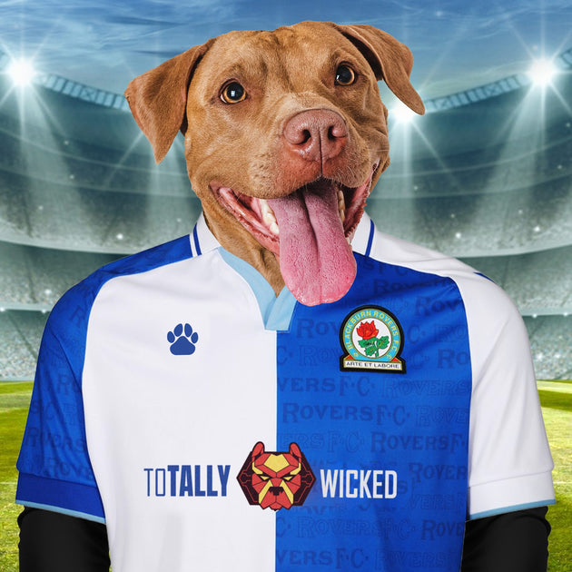 Rovers Radiance: Custom Pet Portraits in Blackburn Rovers Inspired Kit - Illuminate Your Pet's Love for the Game!