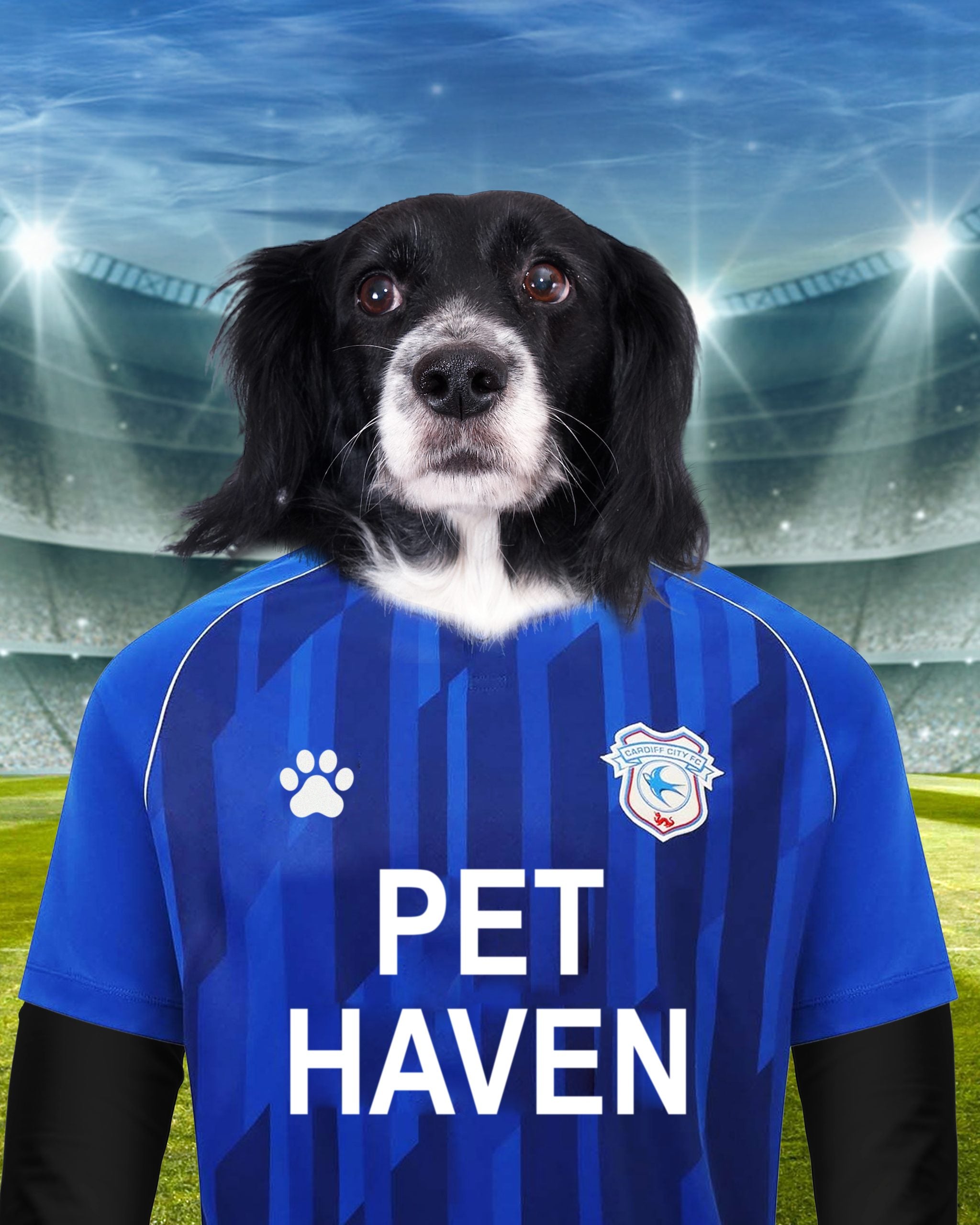 Bluebird Bliss: Custom Pet Portraits in Cardiff City FC Inspired Kit - Unleash Your Pet's Passion!