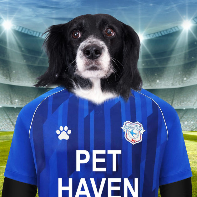 Bluebird Bliss: Custom Pet Portraits in Cardiff City FC Inspired Kit - Unleash Your Pet's Passion!