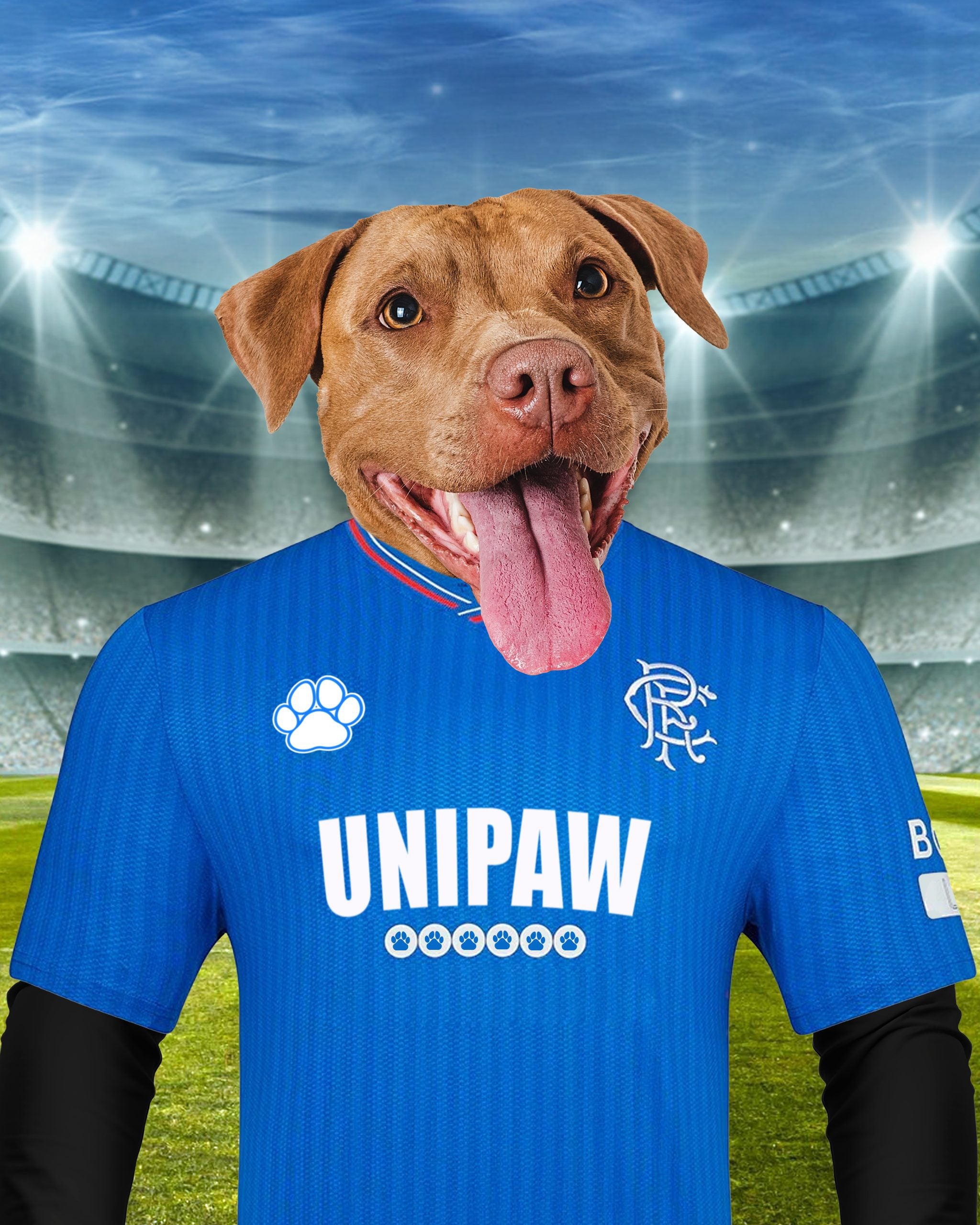 "Rangers Rover" - Custom Pet Portrait in Glasgow Rangers Inspired Kit