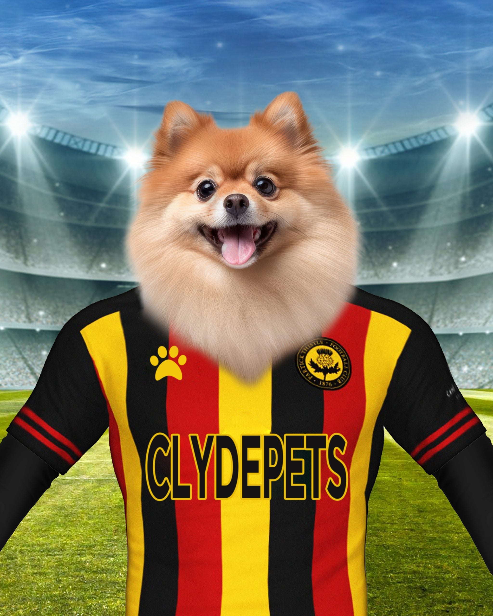 "Jags Companion" - Custom Pet Portrait in Partick Thistle F.C. Inspired Kit