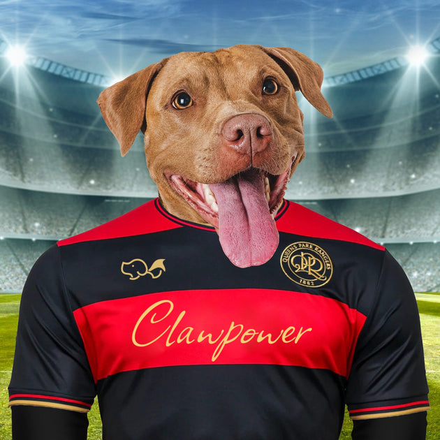 Hoops Harmony: Custom Pet Portraits in Queens Park Rangers Inspired Kit - Celebrate Your Pet's True Colours!