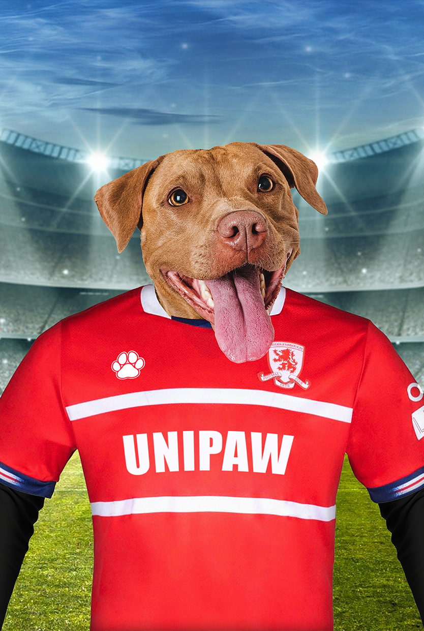 “Boro Bestie” – Custom Pet Portrait in Middlesbrough F.C. Inspired Kit