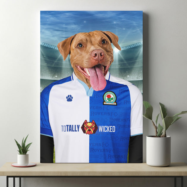 Rovers Radiance: Custom Pet Portraits in Blackburn Rovers Inspired Kit - Illuminate Your Pet's Love for the Game!