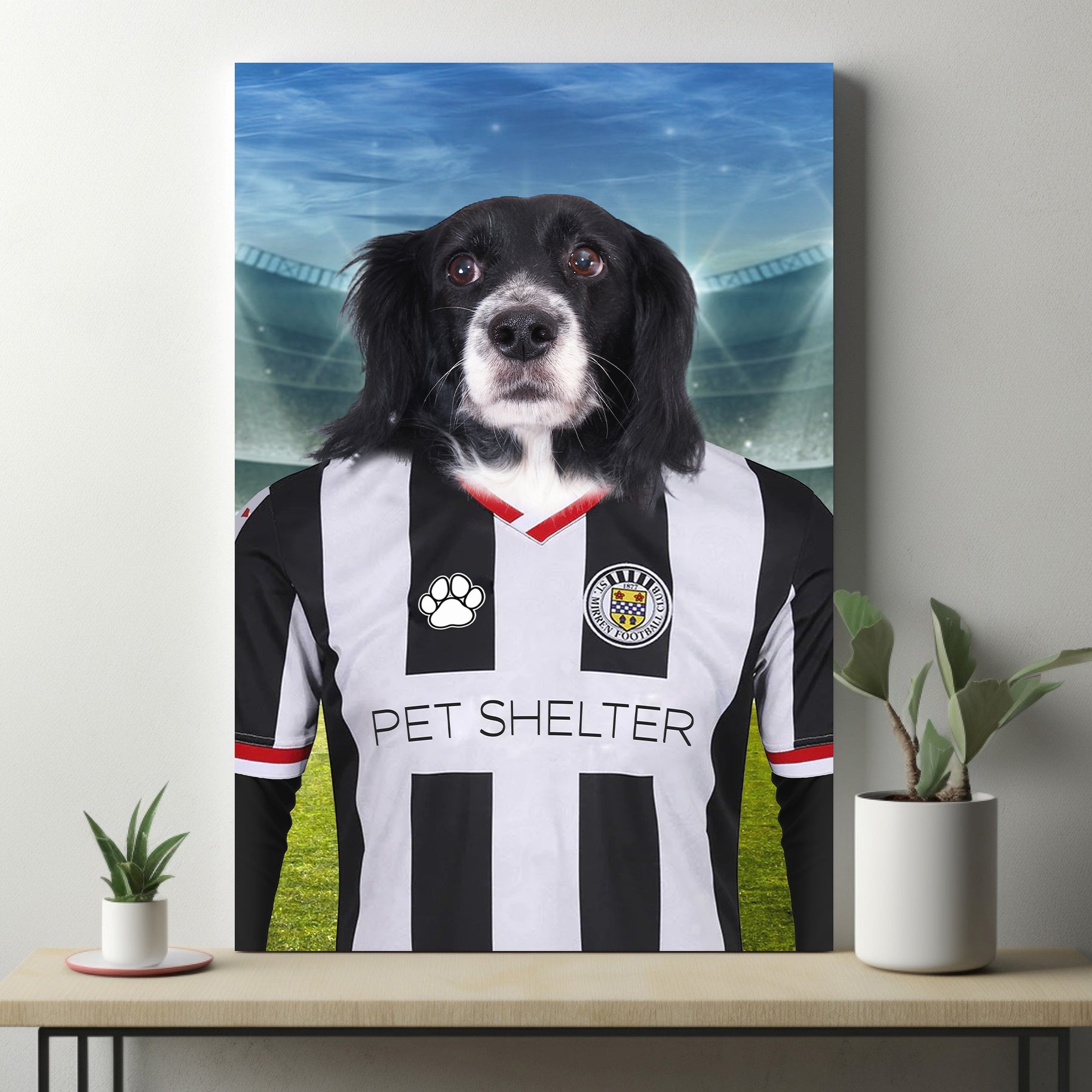 "Saintly Paws" - Custom Pet Portrait in St. Mirren F.C. Inspired Kit