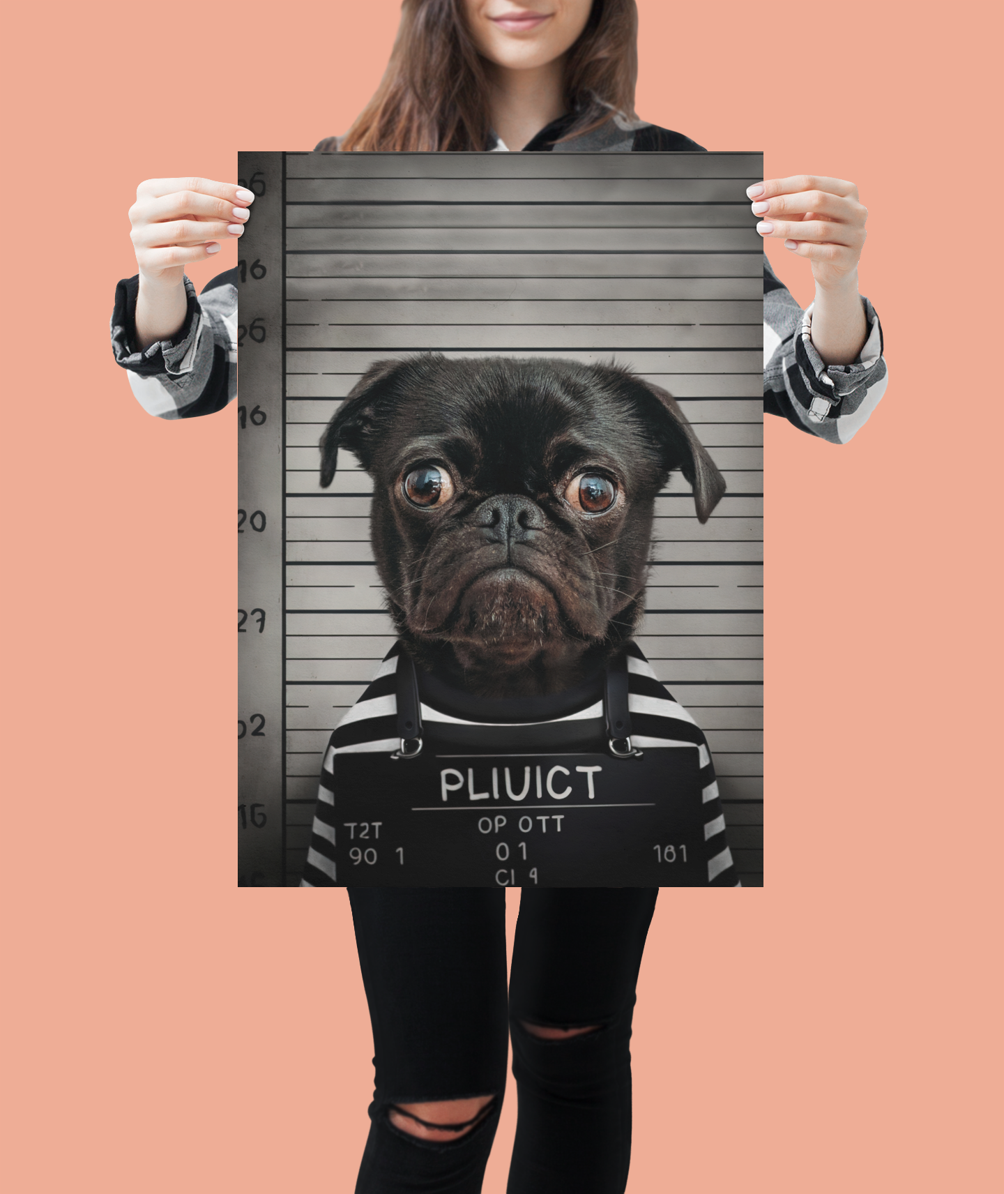 Mugshot Mischief : Custom Police Pet Portrait