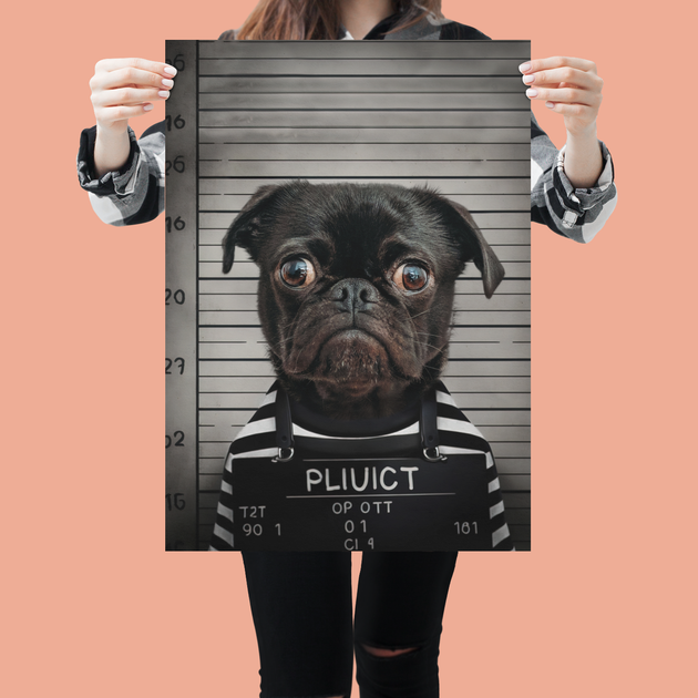 Mugshot Mischief : Custom Police Pet Portrait