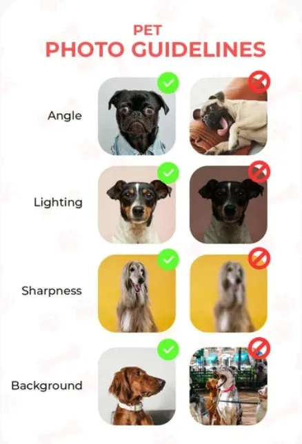 Cricket Companion: Custom Classic Cricketer Pet Portrait